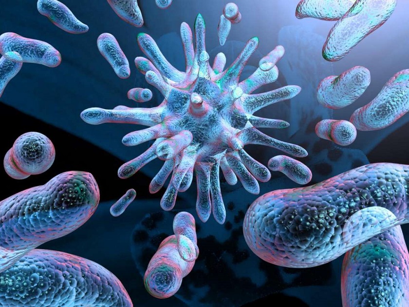 красивое фото бактерии